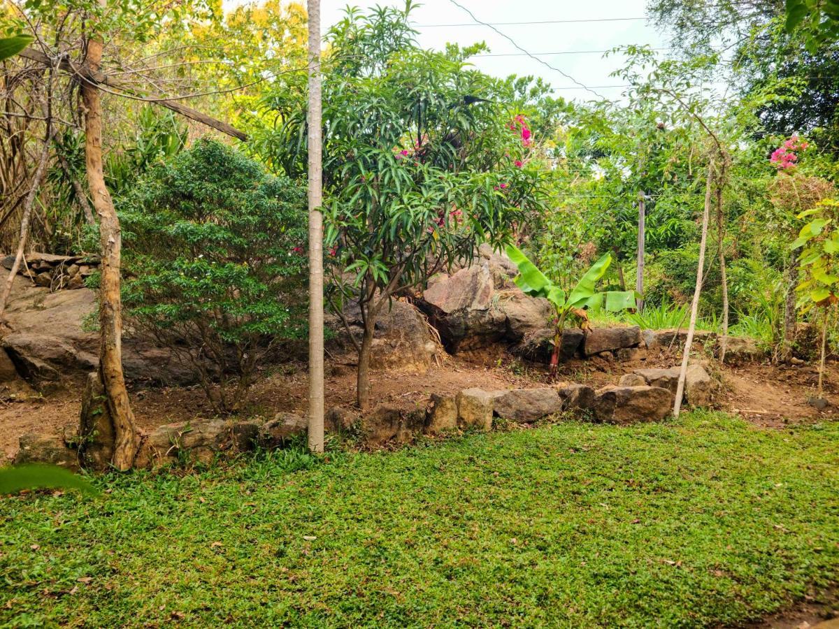 Woodholic Homestay Sigirija Zewnętrze zdjęcie