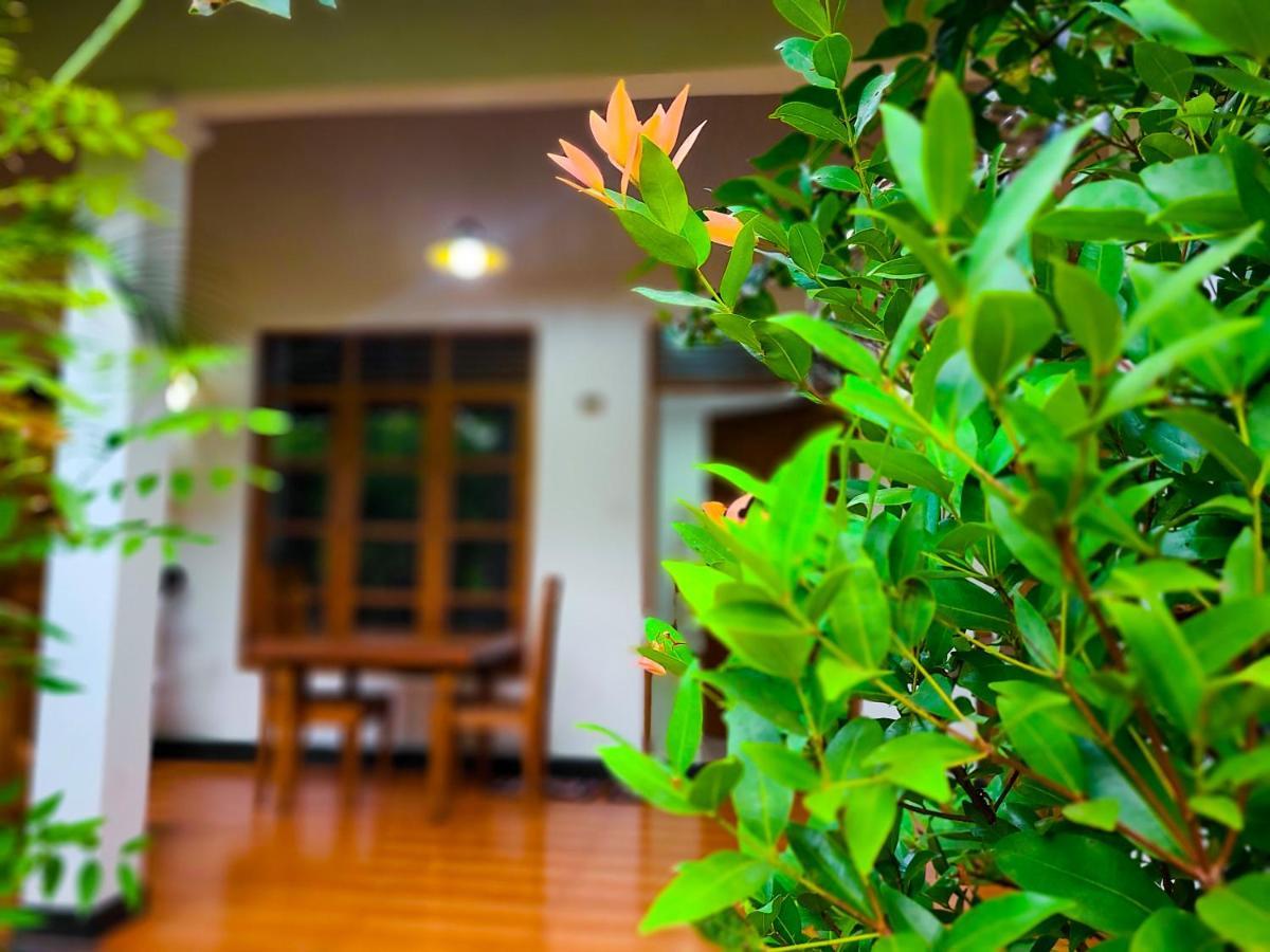 Woodholic Homestay Sigirija Zewnętrze zdjęcie
