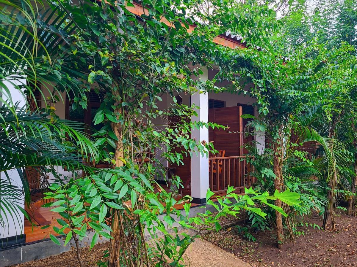 Woodholic Homestay Sigirija Zewnętrze zdjęcie