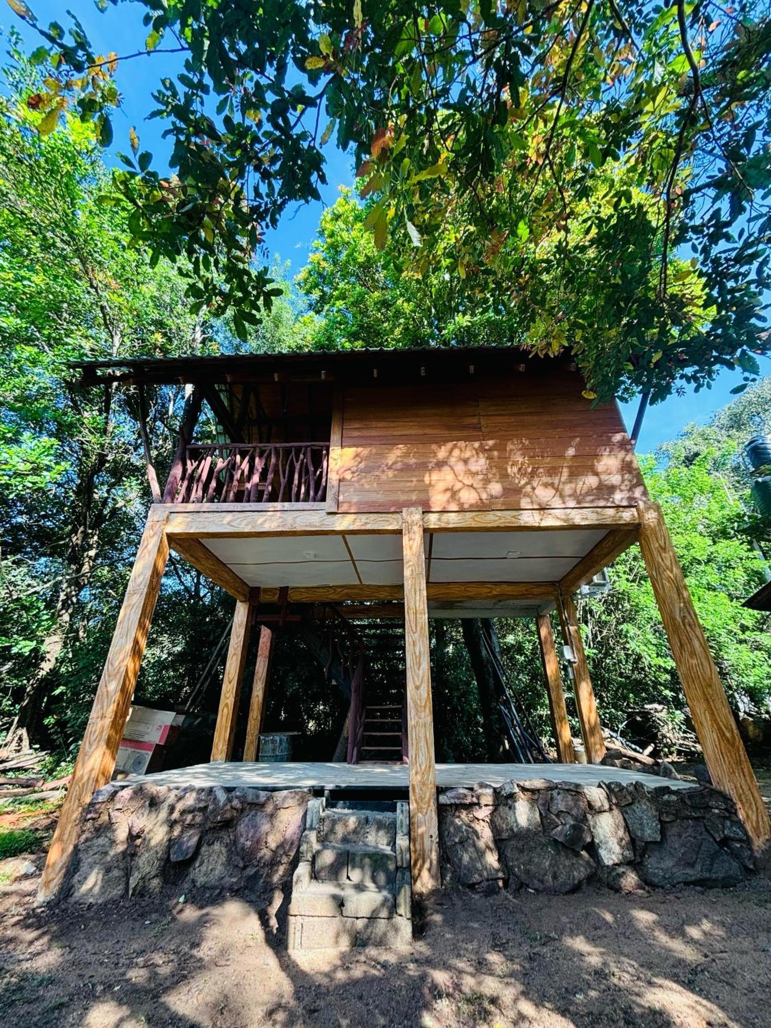 Woodholic Homestay Sigirija Zewnętrze zdjęcie